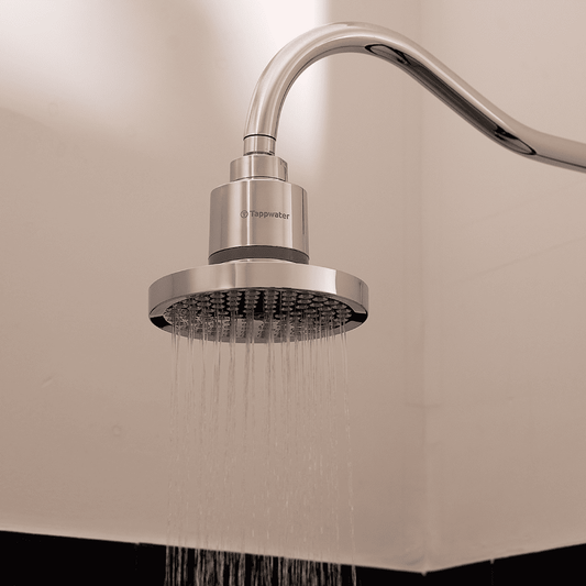 ShowerPro Rain филтър